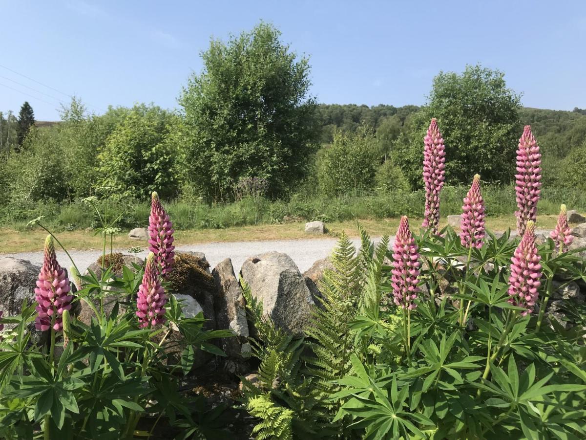 Holiday home The Struan Self Catering