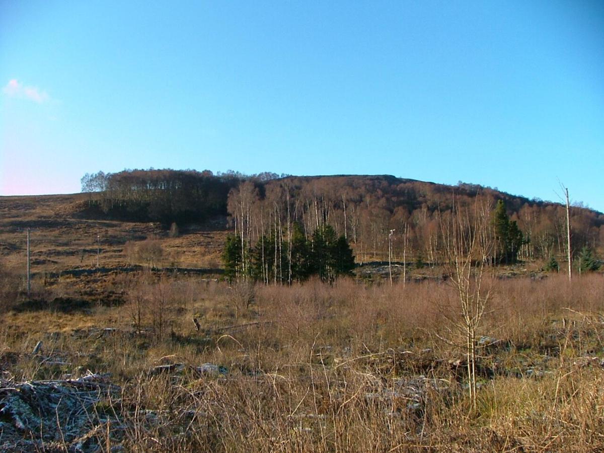 The Struan Self Catering Holiday home Struan (Perthshire)